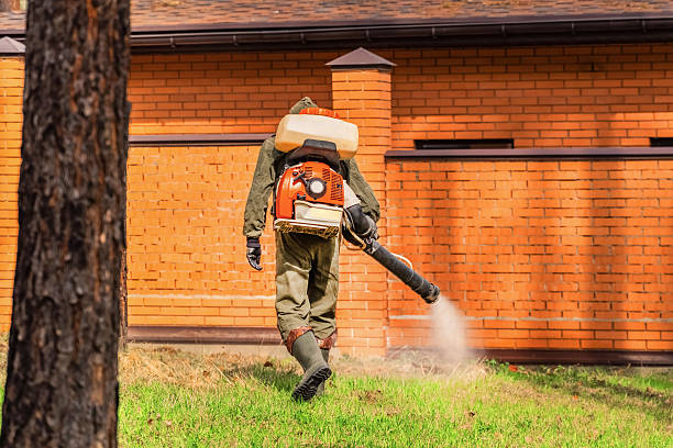 Bed Bug Clearance Verification and Documentation in Kemp